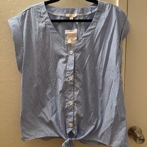 Blue and white gigham short sleave blouse